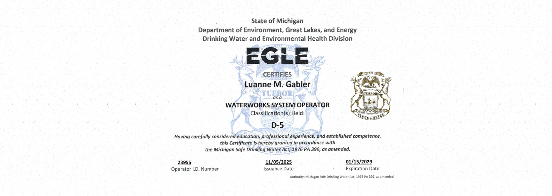 R&L Full Imgae Video Frame